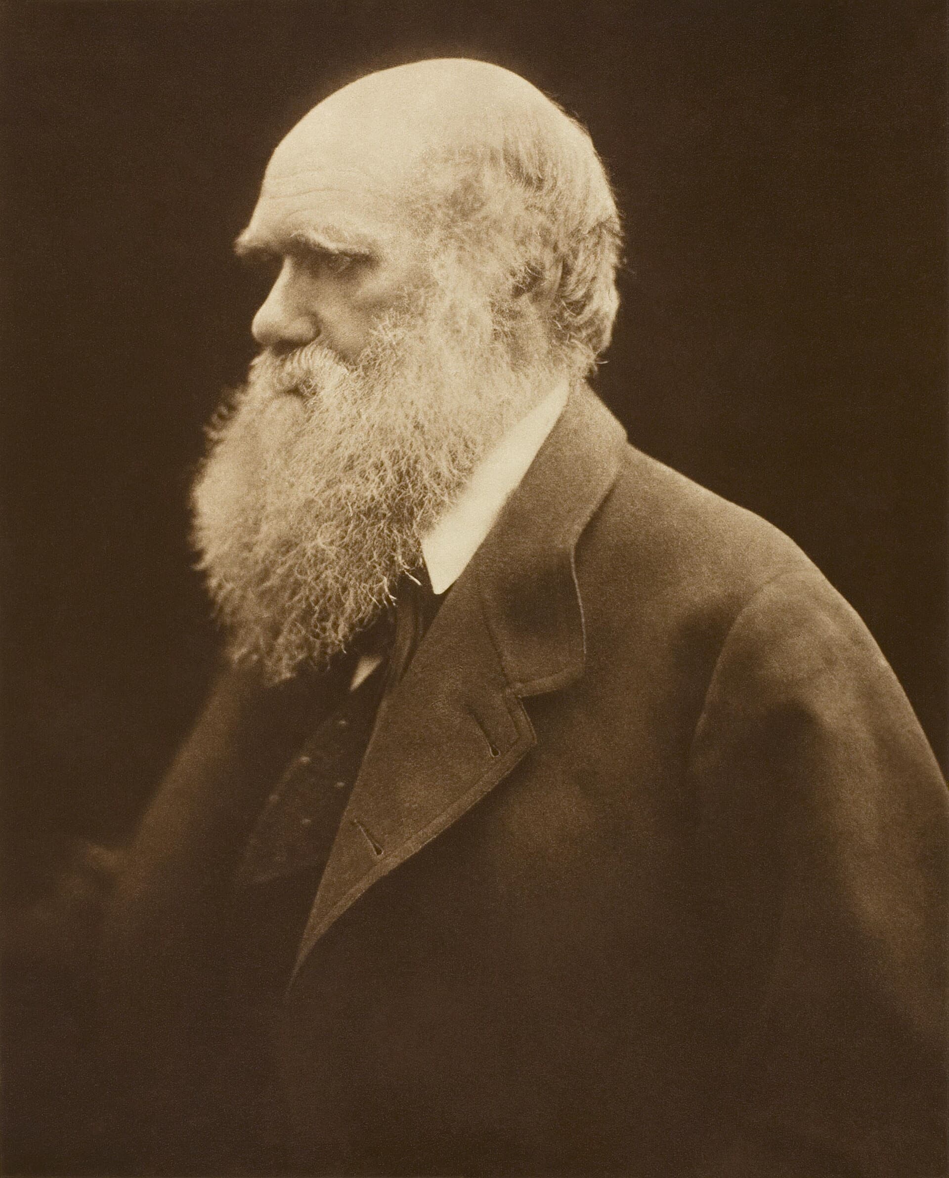 Charles Darwin, white-bearded, in a dark coat, in soft light.